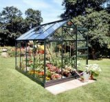 6 x 8 Halls Forest Green Popular